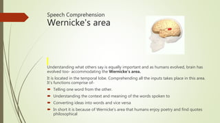 Language and comprehension - Neuroscience Coursera | PPTX