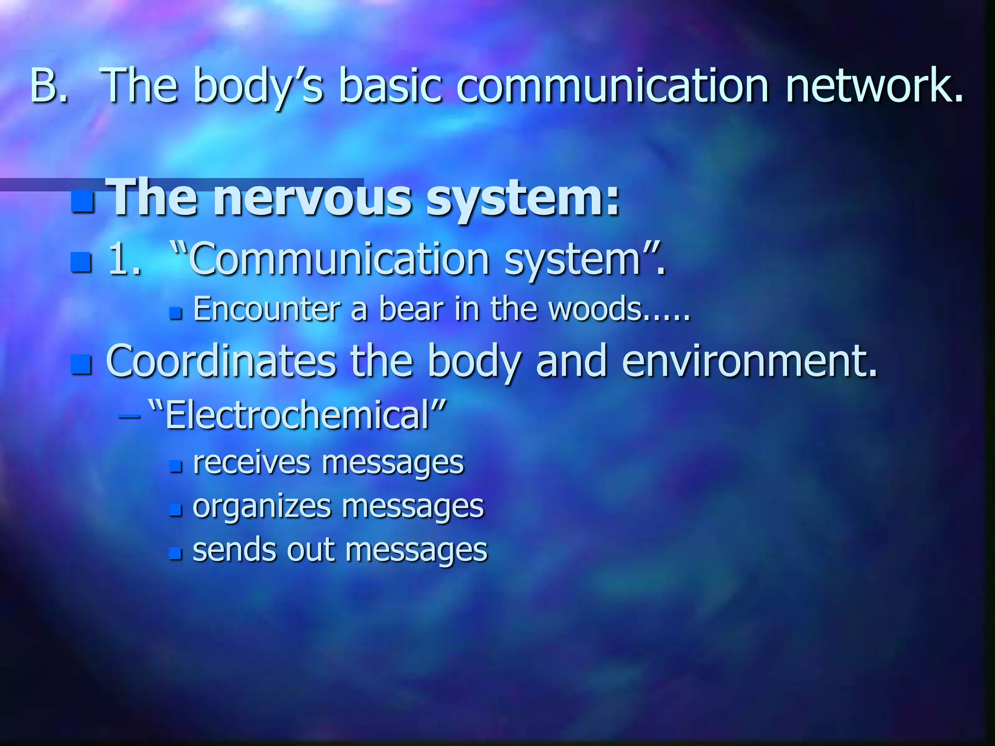 neuroscience.ppt