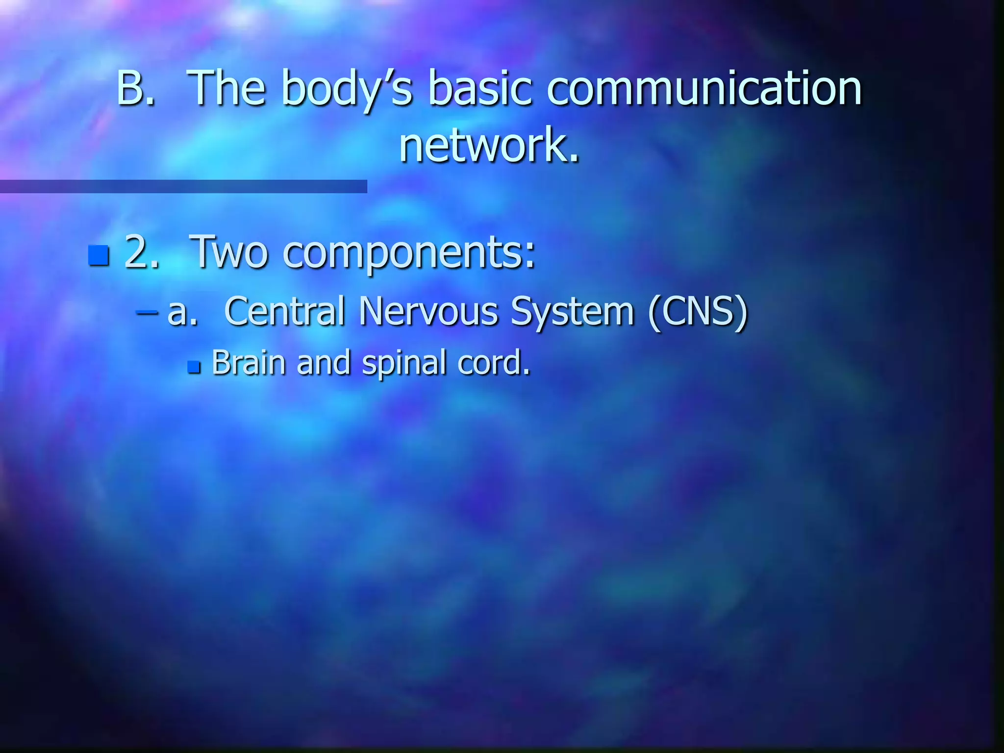 neuroscience.ppt