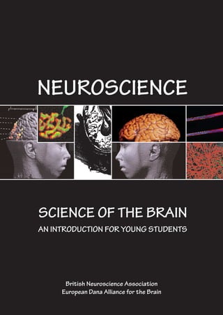 NEUROSCIENCE
SCIENCE OF THE BRAIN
AN INTRODUCTION FOR YOUNG STUDENTS
British Neuroscience Association
European Dana Alliance for the Brain
PDF Page Organizer - Foxit Software
 
