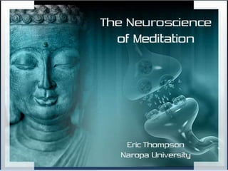 The Neuroscience Of Meditation