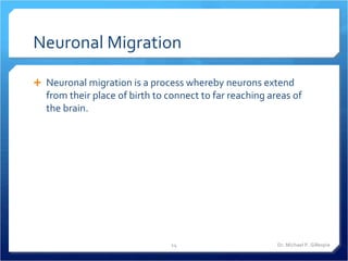 Neuroscience08_Neuroplasticity.ppt