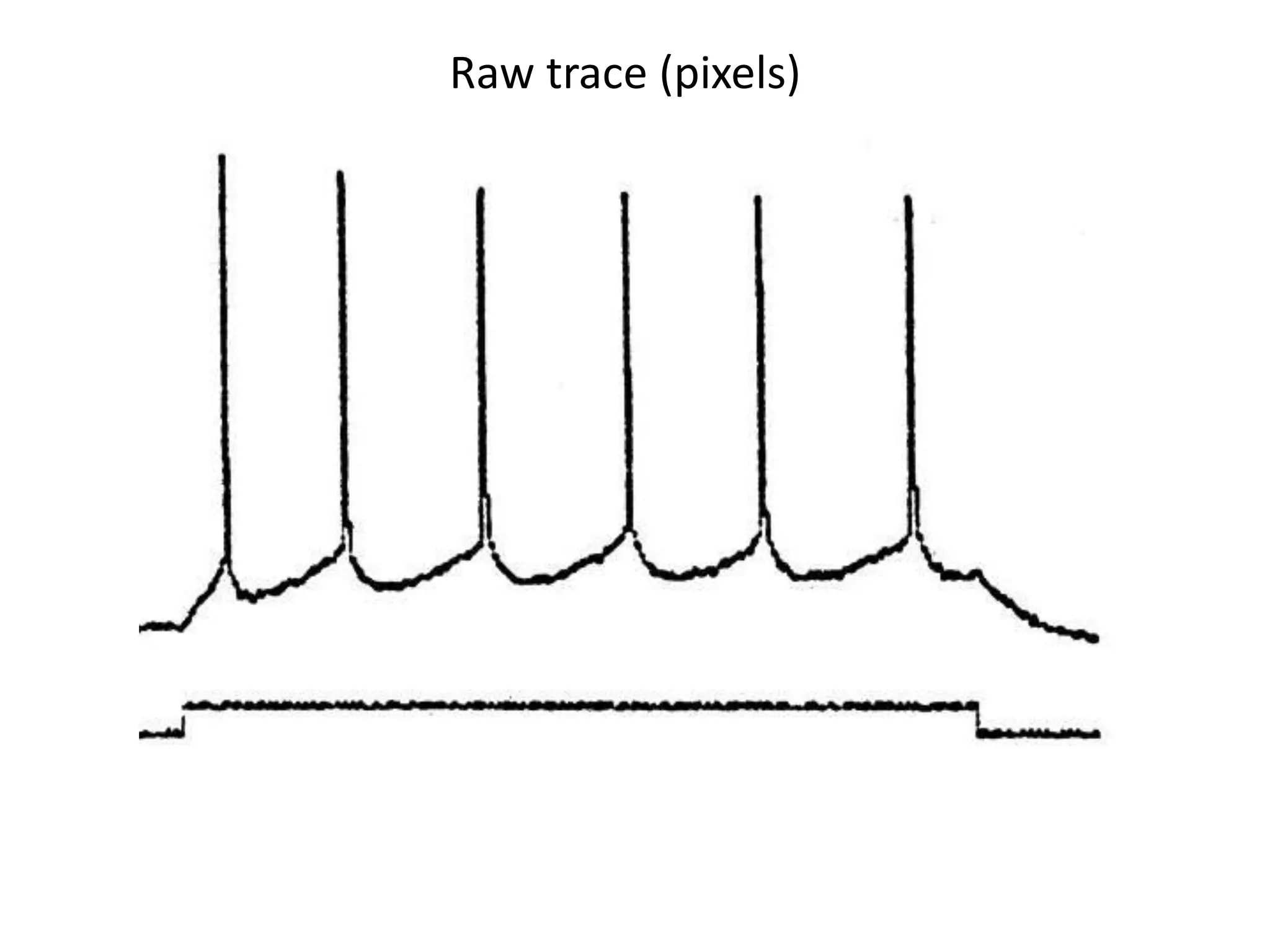 Raw trace (pixels)
 