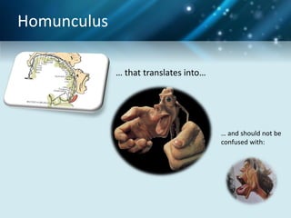 Homunculus Problem Neuroscience - Change management with the brain in mind | PDF