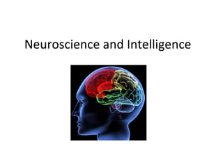 Neuroscience and Intelligence 