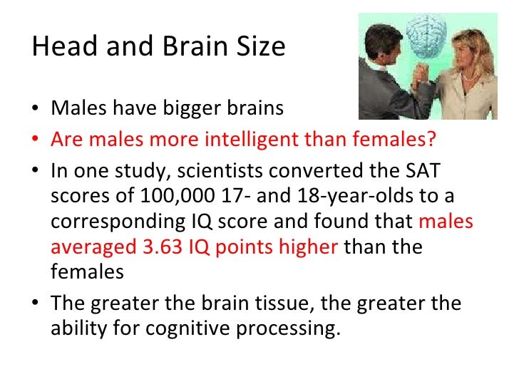 otto matic giant brain level