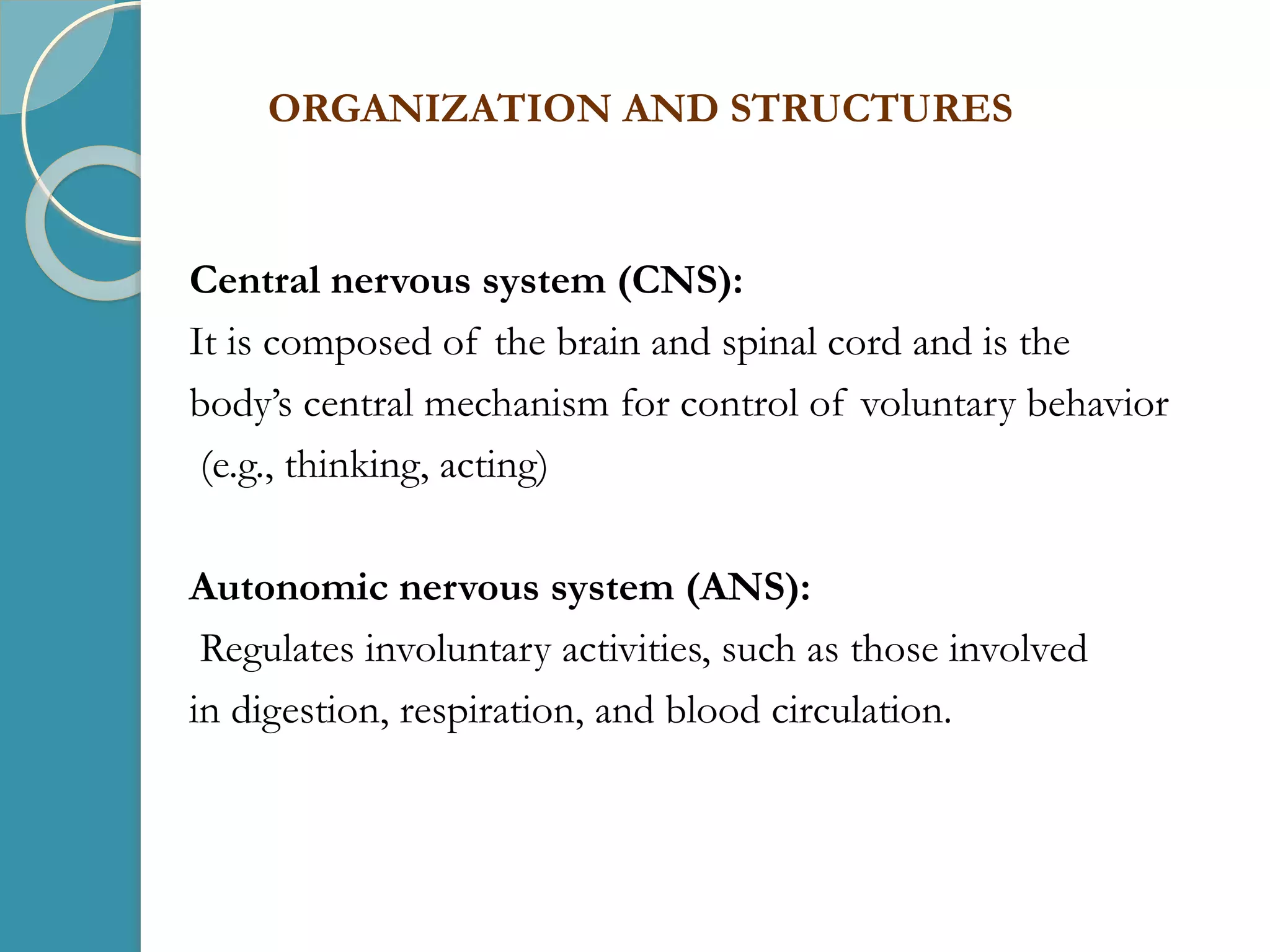 Central nervous system (CNS):
It is composed of the brain and spinal cord and is the
body’s central mechanism for control of voluntary behavior
(e.g., thinking, acting)
Autonomic nervous system (ANS):
Regulates involuntary activities, such as those involved
in digestion, respiration, and blood circulation.
ORGANIZATION AND STRUCTURES
 