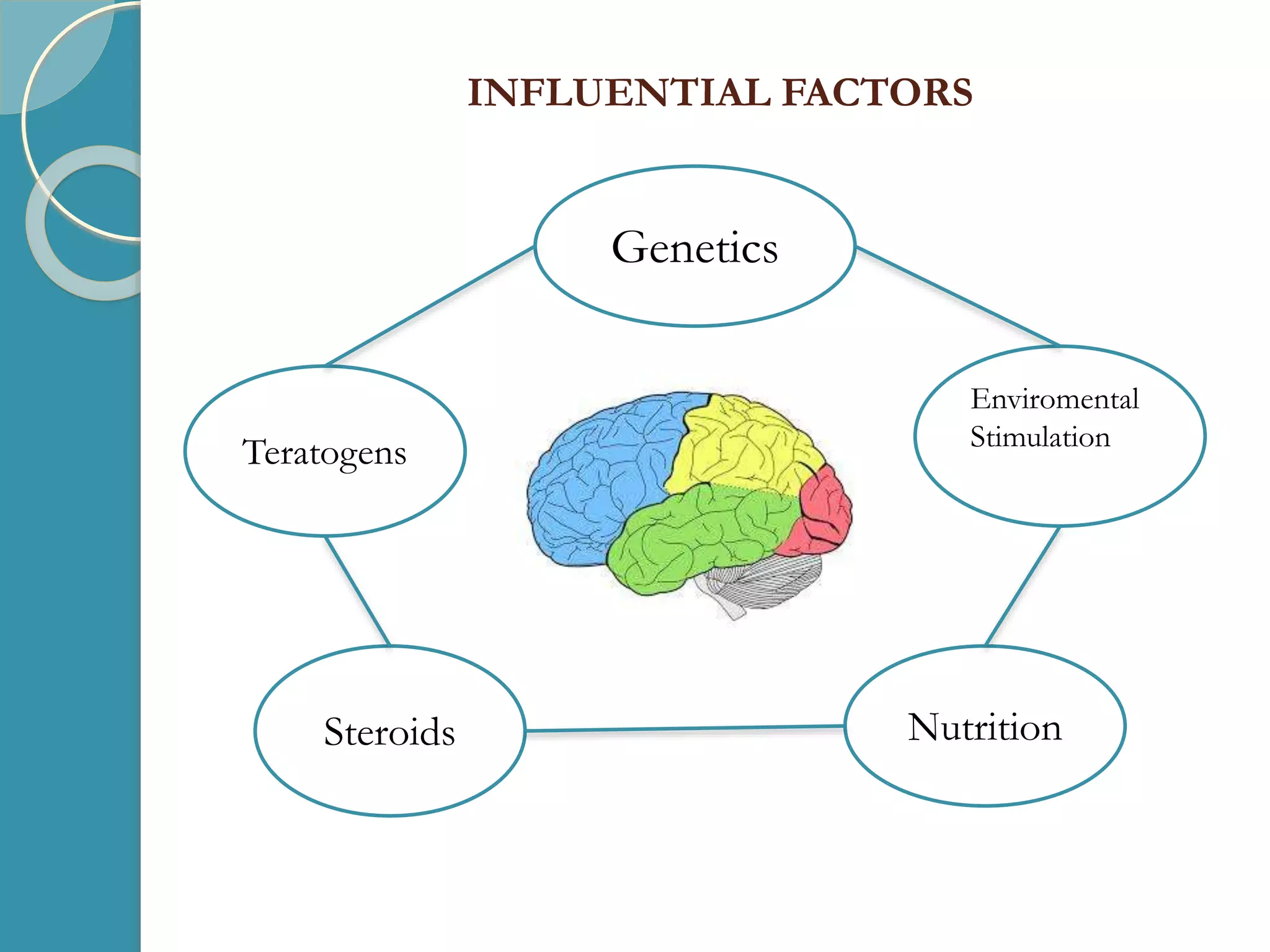 INFLUENTIAL FACTORS
Genetics
Enviromental
Stimulation
Teratogens
Steroids Nutrition
 