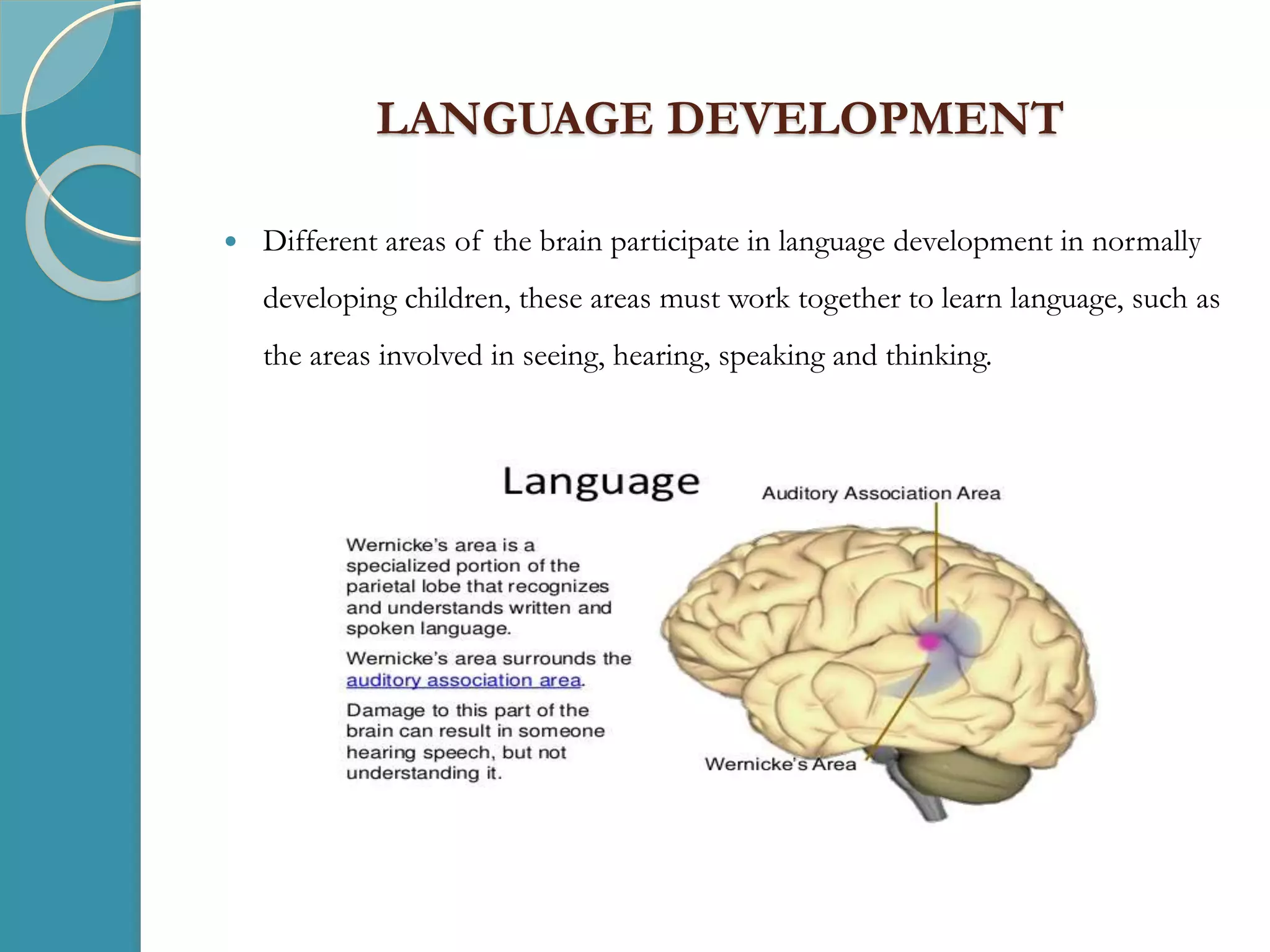 LANGUAGE DEVELOPMENT
 Different areas of the brain participate in language development in normally
developing children, these areas must work together to learn language, such as
the areas involved in seeing, hearing, speaking and thinking.
 