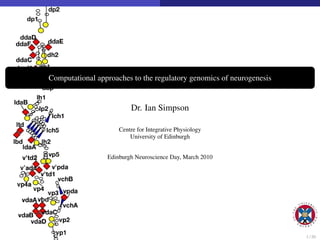 Computational approaches to the regulatory genomics of neurogenesis


                         Dr. Ian Simpson

                     Centre for Integrative Physiology
                         University of Edinburgh


                 Edinburgh Neuroscience Day, March 2010




                                                                      1 / 20
 