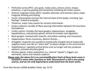 • Prefrontal cortex (PFC): sets goals, makes plans, directs action; shapes
emotions, in part by guiding and sometimes inhibiting the limbic system
• Anterior cingulate cortex (ACC): steadies attention and monitors plans; helps
integrate thinking and feeling
• Insula: interoception (senses the internal state of the body), including ““gut
feelings””; linked to empathy
• Thalamus: major relay station for sensory information
• Corpus callosum: bundle of fibers passing information between the two brain
hemispheres
• Limbic system: includes the basal ganglia, hippocampus, amygdala,
hypothalamus, and pituitary gland; central to emotion and regulation
• Basal ganglia: involved with rewards, stimulation seeking, and movement
• Hippocampus: forms memories, detects threats, ……
• Amygdala: responds very quickly to emotionally charged stimuli (especially
negative ones); acts like an ““alarm bell”” to detect danger in the environment
• Hypothalamus: regulates primal drives such as hunger and sex; produces
oxytocin; activates pituitary gland
• Pituitary gland: makes endorphins (i.e. internal ““opiate””); triggers sex
hormones; stores and releases oxytocin.
Please note: the above list is an oversimplification! Each of these brain areas is
involved in many other functions as well. Neuroscience is still a very young
science, and we are only beginning to understand how the brain works.
From Rick Hanson (2009) Buddha's Brain pp. 53 55
 