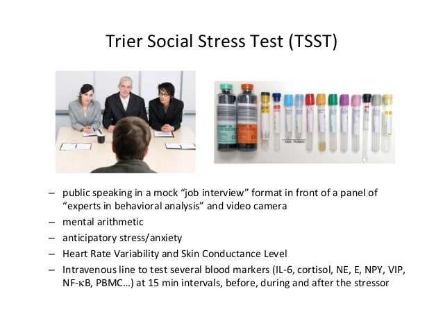 test heart app rate Neuroscience Meditation test heart app rate Neuroscience Meditation
