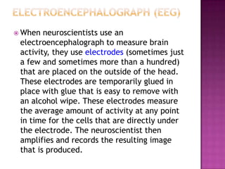 Neuroscience Methods
