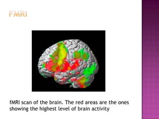 Neuroscience Methods