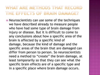 Neuroscience Methods