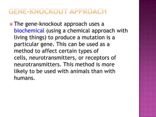 Neuroscience Methods
