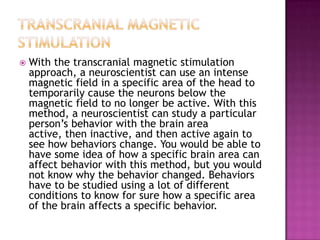 Neuroscience Methods