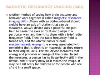 Neuroscience Methods