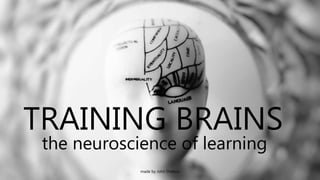 TRAINING BRAINS
the neuroscience of learning
made by John Shelton
 