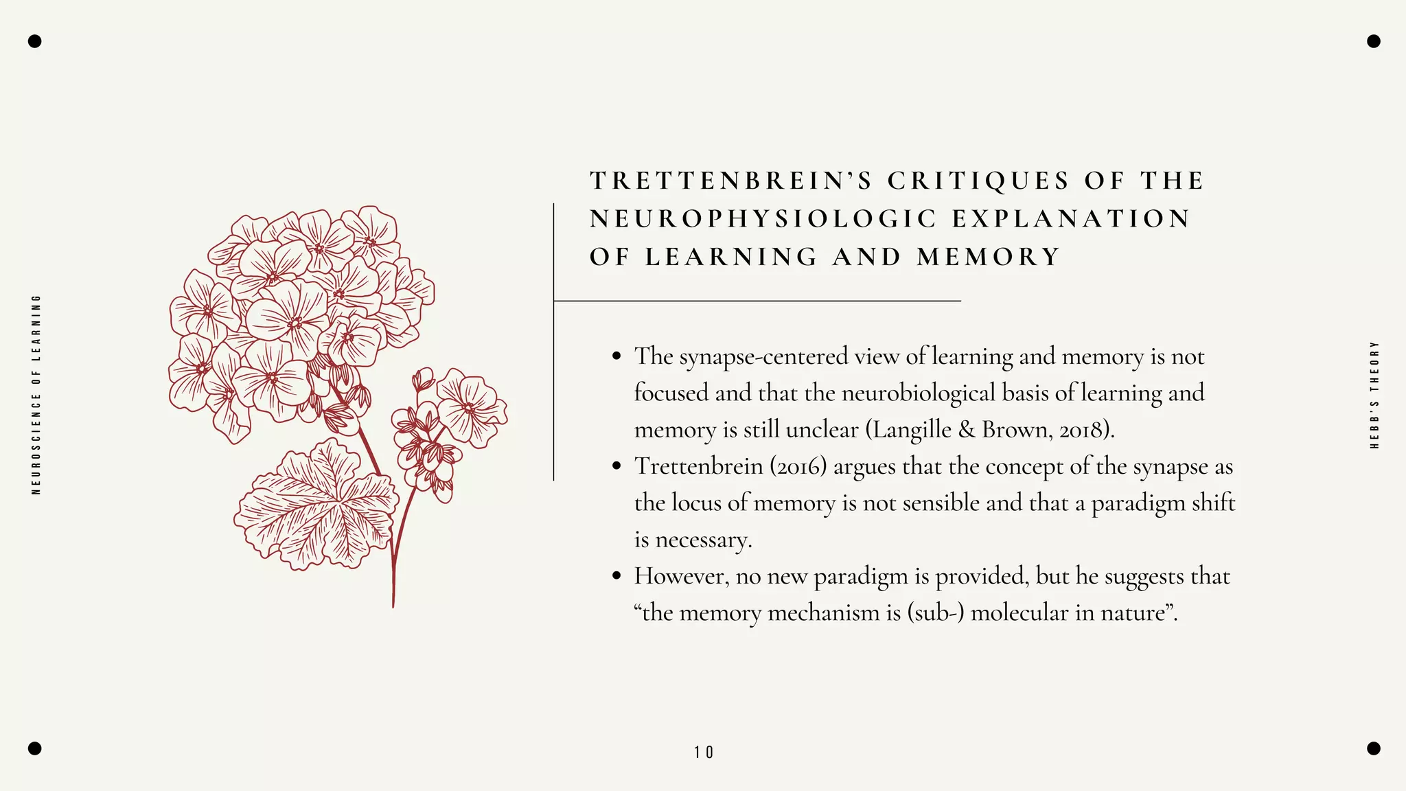 1 0
T R E T T E N B R E I N ’ S C R I T I Q U E S O F T H E
N E U R O P H Y S I O L O G I C E X P L A N A T I O N
O F L E A R N I N G A N D M E M O R Y
N
E
U
R
O
S
C
I
E
N
C
E
O
F
L
E
A
R
N
I
N
G
H
E
B
B
'
S
T
H
E
O
R
Y
The synapse-centered view of learning and memory is not
focused and that the neurobiological basis of learning and
memory is still unclear (Langille & Brown, 2018).
Trettenbrein (2016) argues that the concept of the synapse as
the locus of memory is not sensible and that a paradigm shift
is necessary.
However, no new paradigm is provided, but he suggests that
“the memory mechanism is (sub-) molecular in nature”.
 