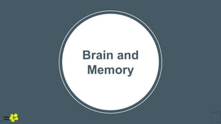 Brain and
Memory
Yellow
Pond
 