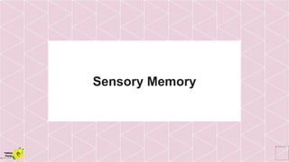 Sensory Memory
Yellow
Pond
 