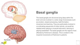 Basal ganglia
The basal ganglia are structures lying deep within the
brain and are involved in a wide range of processes such
as emotion, reward processing, habit formation,
movement and learning. They are particularly involved in
co-ordinating sequences of motor activity, as would be
needed when playing a musical instrument, dancing or
playing basketball. The basal ganglia are the regions most
affected by Parkinson’s disease. This is evident in the
impaired movements of Parkinson’s patients
Yellow
Pond
 