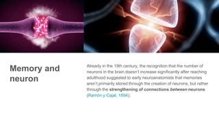Memory and
neuron
Already in the 19th century, the recognition that the number of
neurons in the brain doesn’t increase significantly after reaching
adulthood suggested to early neuroanatomists that memories
aren’t primarily stored through the creation of neurons, but rather
through the strengthening of connections between neurons
(Ramón y Cajal, 1894).
 