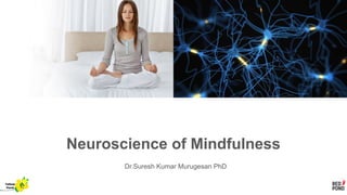 Neuroscience of Mindfulness
Dr.Suresh Kumar Murugesan PhD
Yellow
Pond
 