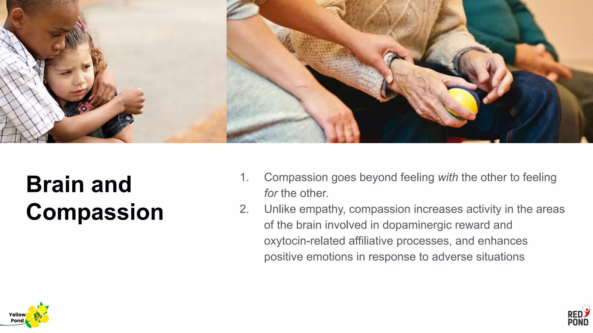 Brain and
Compassion
1. Compassion goes beyond feeling with the other to feeling
for the other.
2. Unlike empathy, compassion increases activity in the areas
of the brain involved in dopaminergic reward and
oxytocin-related affiliative processes, and enhances
positive emotions in response to adverse situations
Yellow
Pond
 