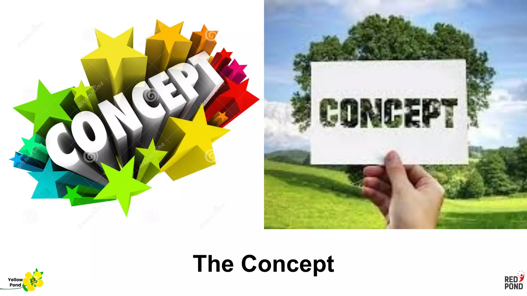 The Concept
Yellow
Pond
 