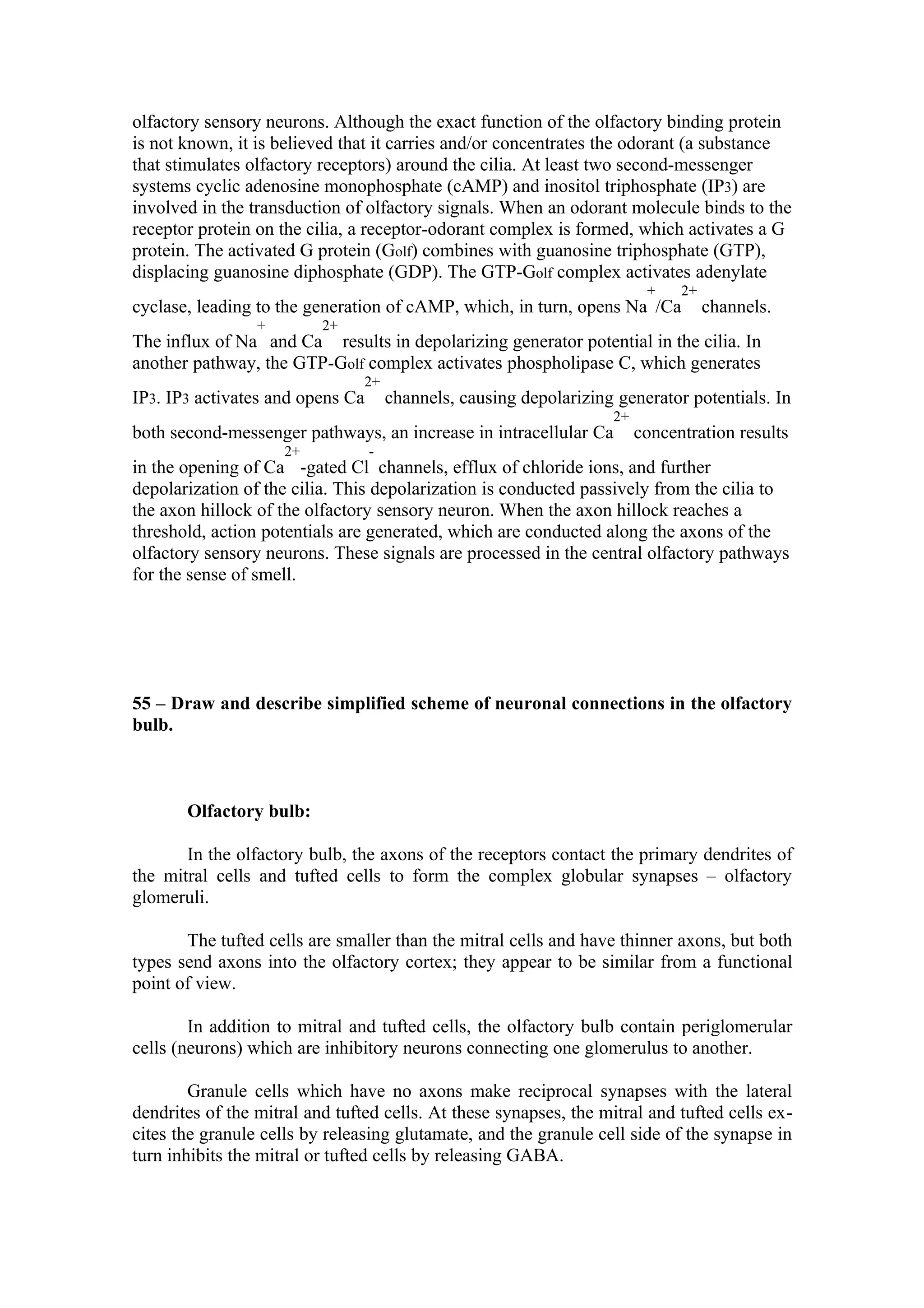 olfactory sensory neurons. Although the exact function of the olfactory binding protein
is not known, it is believed that it carries and/or concentrates the odorant (a substance
that stimulates olfactory receptors) around the cilia. At least two second-messenger
systems cyclic adenosine monophosphate (cAMP) and inositol triphosphate (IP3) are
involved in the transduction of olfactory signals. When an odorant molecule binds to the
receptor protein on the cilia, a receptor-odorant complex is formed, which activates a G
protein. The activated G protein (Golf) combines with guanosine triphosphate (GTP),
displacing guanosine diphosphate (GDP). The GTP-Golf complex activates adenylate
                                                                          +    2+
cyclase, leading to the generation of cAMP, which, in turn, opens Na /Ca            channels.
                 +        2+
The influx of Na and Ca results in depolarizing generator potential in the cilia. In
another pathway, the GTP-Golf complex activates phospholipase C, which generates
                                2+
IP3. IP3 activates and opens Ca       channels, causing depolarizing generator potentials. In
                                                                    2+
both second-messenger pathways, an increase in intracellular Ca          concentration results
                     2+           -
in the opening of Ca -gated Cl channels, efflux of chloride ions, and further
depolarization of the cilia. This depolarization is conducted passively from the cilia to
the axon hillock of the olfactory sensory neuron. When the axon hillock reaches a
threshold, action potentials are generated, which are conducted along the axons of the
olfactory sensory neurons. These signals are processed in the central olfactory pathways
for the sense of smell.




55 – Draw and describe simplified scheme of neuronal connections in the olfactory
bulb.



       Olfactory bulb:

       In the olfactory bulb, the axons of the receptors contact the primary dendrites of
the mitral cells and tufted cells to form the complex globular synapses – olfactory
glomeruli.

       The tufted cells are smaller than the mitral cells and have thinner axons, but both
types send axons into the olfactory cortex; they appear to be similar from a functional
point of view.

        In addition to mitral and tufted cells, the olfactory bulb contain periglomerular
cells (neurons) which are inhibitory neurons connecting one glomerulus to another.

        Granule cells which have no axons make reciprocal synapses with the lateral
dendrites of the mitral and tufted cells. At these synapses, the mitral and tufted cells ex-
cites the granule cells by releasing glutamate, and the granule cell side of the synapse in
turn inhibits the mitral or tufted cells by releasing GABA.
 