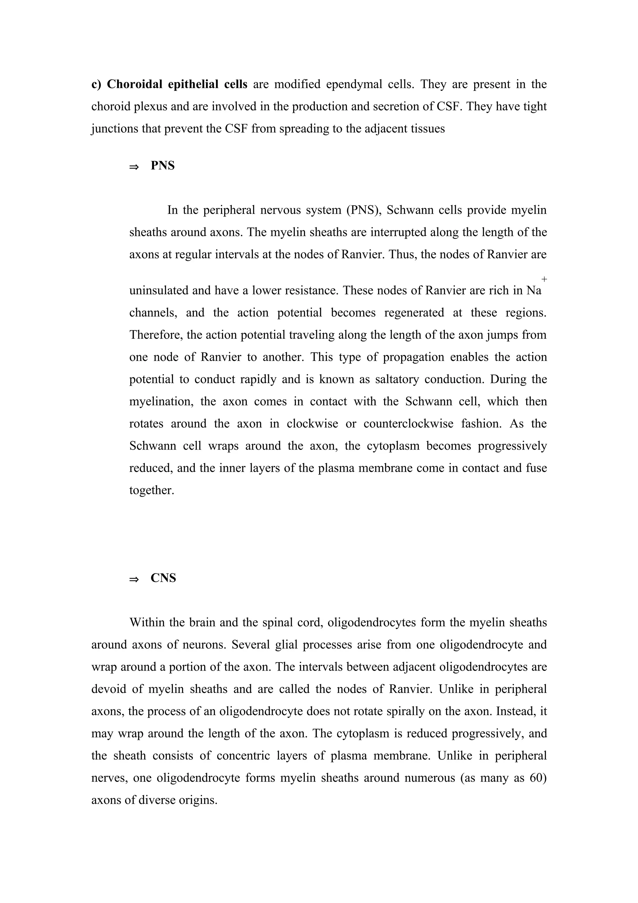 c) Choroidal epithelial cells are modified ependymal cells. They are present in the
choroid plexus and are involved in the production and secretion of CSF. They have tight
junctions that prevent the CSF from spreading to the adjacent tissues

       ⇒   PNS


               In the peripheral nervous system (PNS), Schwann cells provide myelin
       sheaths around axons. The myelin sheaths are interrupted along the length of the
       axons at regular intervals at the nodes of Ranvier. Thus, the nodes of Ranvier are
                                                                                        +
       uninsulated and have a lower resistance. These nodes of Ranvier are rich in Na
       channels, and the action potential becomes regenerated at these regions.
       Therefore, the action potential traveling along the length of the axon jumps from
       one node of Ranvier to another. This type of propagation enables the action
       potential to conduct rapidly and is known as saltatory conduction. During the
       myelination, the axon comes in contact with the Schwann cell, which then
       rotates around the axon in clockwise or counterclockwise fashion. As the
       Schwann cell wraps around the axon, the cytoplasm becomes progressively
       reduced, and the inner layers of the plasma membrane come in contact and fuse
       together.




       ⇒   CNS


       Within the brain and the spinal cord, oligodendrocytes form the myelin sheaths
around axons of neurons. Several glial processes arise from one oligodendrocyte and
wrap around a portion of the axon. The intervals between adjacent oligodendrocytes are
devoid of myelin sheaths and are called the nodes of Ranvier. Unlike in peripheral
axons, the process of an oligodendrocyte does not rotate spirally on the axon. Instead, it
may wrap around the length of the axon. The cytoplasm is reduced progressively, and
the sheath consists of concentric layers of plasma membrane. Unlike in peripheral
nerves, one oligodendrocyte forms myelin sheaths around numerous (as many as 60)
axons of diverse origins.
 
