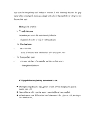 layer contains the primary cell bodies of neurons, it will ultimately become the gray
matter of the spinal cord. Axons associated with cells in the mantle layer will grow into
the marginal layer.


       Histogenesis of CNS:

    1. Ventricular zone

       -separates precursors for neurons and glial cells

−       -migration of nuclei to base of ventricular cells

     2. Marginal zone

−       -no cell bodies

        - axons of neurons from intermediate zone invade this zone

−    3. Intermediate zone

−       - forms a interface of ventricular and intermediate zones

         - no migration of nuclei




       Cell populations originating from neural crest:


     During folding of neural crest, groups of cells appear along neural groove,
      neural crest cells
     Some of these cells give rise sensory ganglia (dorsal root ganglia)
     cells of neural crest differentiate into Schwmann cells , pigment cells, meninges
      and odontoblasts.
 
