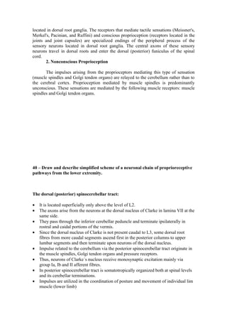 located in dorsal root ganglia. The receptors that mediate tactile sensations (Meissner's,
Merkel's, Pacinian, and Ruffini) and conscious proprioception (receptors located in the
joints and joint capsules) are specialized endings of the peripheral process of the
sensory neurons located in dorsal root ganglia. The central axons of these sensory
neurons travel in dorsal roots and enter the dorsal (posterior) funiculus of the spinal
cord.
       2. Nonconscious Proprioception

       The impulses arising from the proprioceptors mediating this type of sensation
(muscle spindles and Golgi tendon organs) are relayed to the cerebellum rather than to
the cerebral cortex. Proprioception mediated by muscle spindles is predominantly
unconscious. These sensations are mediated by the following muscle receptors: muscle
spindles and Golgi tendon organs.




40 – Draw and describe simplified scheme of a neuronal chain of proprioreceptive
pathways from the lower extremity.



The dorsal (posterior) spinocerebellar tract:

•   It is located superficially only above the level of L2.
•   The axons arise from the neurons at the dorsal nucleus of Clarke in lamina VII at the
    same side.
•   They pass through the inferior cerebellar peduncle and terminate ipsilaterally in
    rostral and caidal portions of the vermis.
•   Since the dorsal nucleus of Clarke is not present caudal to L3, some dorsal root
    fibres from more caudal segments ascend first in the posterior columns to upper
    lumbar segments and then terminate upon neurons of the dorsal nucleus.
•   Impulse related to the cerebellum via the posterior spinocerebellar tract originate in
    the muscle spindles, Golgi tendon organs and pressure receptors.
•   Thus, neurons of Clarke´s nucleus receive monosynaptic excitation mainly via
    group Ia, Ib and II afferent fibres.
•   In posterior spinocerebellar tract is somatotropically organized both at spinal levels
    and its cerebellar terminations.
•   Impulses are utilized in the coordination of posture and movement of individual lim
    muscle (lower limb)
 