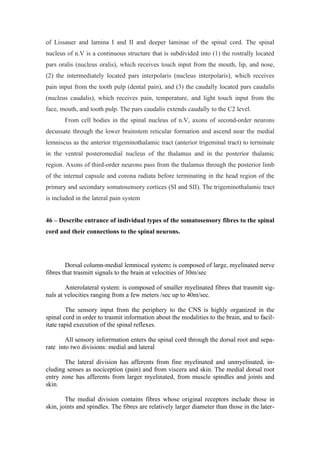 of Lissauer and lamina I and II and deeper laminae of the spinal cord. The spinal
nucleus of n.V is a continuous structure that is subdivided into (1) the rostrally located
pars oralis (nucleus oralis), which receives touch input from the mouth, lip, and nose,
(2) the intermediately located pars interpolaris (nucleus interpolaris), which receives
pain input from the tooth pulp (dental pain), and (3) the caudally located pars caudalis
(nucleus caudalis), which receives pain, temperature, and light touch input from the
face, mouth, and tooth pulp. The pars caudalis extends caudally to the C2 level.
       From cell bodies in the spinal nucleus of n.V, axons of second-order neurons
decussate through the lower brainstem reticular formation and ascend near the medial
lemniscus as the anterior trigeminothalamic tract (anterior trigeminal tract) to terminate
in the ventral posteromedial nucleus of the thalamus and in the posterior thalamic
region. Axons of third-order neurons pass from the thalamus through the posterior limb
of the internal capsule and corona radiata before terminating in the head region of the
primary and secondary somatosensory cortices (SI and SII). The trigeminothalamic tract
is included in the lateral pain system


46 – Describe entrance of individual types of the somatosensory fibres to the spinal
cord and their connections to the spinal neurons.




        Dorsal column-medial lemniscal system: is composed of large, myelinated nerve
fibres that trasmitt signals to the brain at velocities of 30m/sec

        Anterolateral system: is composed of smaller myelinated fibres that trasmitt sig-
nals at velocities ranging from a few meters /sec up to 40m/sec.

        The sensory input from the periphery to the CNS is highly organized in the
spinal cord in order to trasmit information about the modalities to the brain, and to facil-
itate rapid execution of the spinal reflexes.

        All sensory inforrmation enters the spinal cord through the dorsal root and sepa-
rate into two divisions: medial and lateral

       The lateral division has afferents from fine myelinated and unmyelinated, in-
cluding senses as nociception (pain) and from viscera and skin. The medial dorsal root
entry zone has afferents from larger myelinated, from muscle spindles and joints and
skin.

        The medial division contains fibres whose original receptors include those in
skin, joints and spindles. The fibres are relatively larger diameter than those in the later-
 