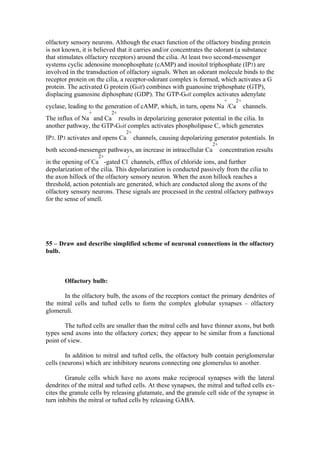 olfactory sensory neurons. Although the exact function of the olfactory binding protein
is not known, it is believed that it carries and/or concentrates the odorant (a substance
that stimulates olfactory receptors) around the cilia. At least two second-messenger
systems cyclic adenosine monophosphate (cAMP) and inositol triphosphate (IP3) are
involved in the transduction of olfactory signals. When an odorant molecule binds to the
receptor protein on the cilia, a receptor-odorant complex is formed, which activates a G
protein. The activated G protein (Golf) combines with guanosine triphosphate (GTP),
displacing guanosine diphosphate (GDP). The GTP-Golf complex activates adenylate
                                                                          +    2+
cyclase, leading to the generation of cAMP, which, in turn, opens Na /Ca            channels.
                 +        2+
The influx of Na and Ca results in depolarizing generator potential in the cilia. In
another pathway, the GTP-Golf complex activates phospholipase C, which generates
                                2+
IP3. IP3 activates and opens Ca       channels, causing depolarizing generator potentials. In
                                                                    2+
both second-messenger pathways, an increase in intracellular Ca          concentration results
                     2+           -
in the opening of Ca -gated Cl channels, efflux of chloride ions, and further
depolarization of the cilia. This depolarization is conducted passively from the cilia to
the axon hillock of the olfactory sensory neuron. When the axon hillock reaches a
threshold, action potentials are generated, which are conducted along the axons of the
olfactory sensory neurons. These signals are processed in the central olfactory pathways
for the sense of smell.




55 – Draw and describe simplified scheme of neuronal connections in the olfactory
bulb.



       Olfactory bulb:

       In the olfactory bulb, the axons of the receptors contact the primary dendrites of
the mitral cells and tufted cells to form the complex globular synapses – olfactory
glomeruli.

       The tufted cells are smaller than the mitral cells and have thinner axons, but both
types send axons into the olfactory cortex; they appear to be similar from a functional
point of view.

        In addition to mitral and tufted cells, the olfactory bulb contain periglomerular
cells (neurons) which are inhibitory neurons connecting one glomerulus to another.

        Granule cells which have no axons make reciprocal synapses with the lateral
dendrites of the mitral and tufted cells. At these synapses, the mitral and tufted cells ex-
cites the granule cells by releasing glutamate, and the granule cell side of the synapse in
turn inhibits the mitral or tufted cells by releasing GABA.
 