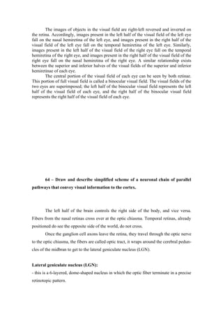 The images of objects in the visual field are right-left reversed and inverted on
the retina. Accordingly, images present in the left half of the visual field of the left eye
fall on the nasal hemiretina of the left eye, and images present in the right half of the
visual field of the left eye fall on the temporal hemiretina of the left eye. Similarly,
images present in the left half of the visual field of the right eye fall on the temporal
hemiretina of the right eye, and images present in the right half of the visual field of the
right eye fall on the nasal hemiretina of the right eye. A similar relationship exists
between the superior and inferior halves of the visual fields of the superior and inferior
hemiretinae of each eye.
        The central portion of the visual field of each eye can be seen by both retinae.
This portion of full visual field is called a binocular visual field. The visual fields of the
two eyes are superimposed; the left half of the binocular visual field represents the left
half of the visual field of each eye, and the right half of the binocular visual field
represents the right half of the visual field of each eye.




       64 – Draw and describe simplified scheme of a neuronal chain of parallel
pathways that convey visual information to the cortex.




       The left half of the brain controls the right side of the body, and vice versa.
Fibers from the nasal retinas cross over at the optic chiasma. Temporal retinas, already
positioned do see the opposite side of the world, do not cross.
       Once the ganglion cell axons leave the retina, they travel through the optic nerve
to the optic chiasma, the fibers are called optic tract, it wraps around the cerebral pedun-
cles of the midbran to get to the lateral geniculate nucleus (LGN).


Lateral geniculate nucleus (LGN):
- this is a 6-layered, dome-shaped nucleus in which the optic fiber terminate in a precise
retinotopic pattern.
 