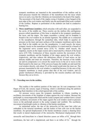 tympanic membrane are imported to the manumbrium of the malleus and its
       short processes trasmitt the vibrations of the manubrium into the incus which
       moves in such a way that the vibrations are transmitted to the head of the staples.
       The movement of the head of the staples swing it footplate a door hanged at the
       post edge of the oval window and finally into the perilymph-filled scala vestibuli
       of the cochlea.. Rupture or perforation of the eardrum can lead to conductive
       hearing loss.
   2. Three small bones (ossicles), which articulate with each other, are suspended in
      the cavity of the middle ear. These ossicles are the malleus (the cartilaginous
      process called manubrium of this bone is attached to the tympanic membrane),
      the incus, and the stapes. The stapes resembles a stirrup, and its footplate is
      bound to the oval window by an annular ligament. The middle ear is connected
      to the nasopharynx through the eustachian tube, which helps to equalize air
      pressure on the inner and outer surfaces of the tympanic membrane and to drain
      any fluid in the middle ear into the nasopharynx. A small muscle, the tensor
      tympani, inserts on the manubrium of the malleus; it is innervated by a branch of
      the trigeminal nerve (cranial nerve [CN] V). Another small muscle, the
      stapedius, inserts on the stapes ossicle and is innervated by a branch of the facial
      nerve (CN VII). Contraction of these muscles restricts the movement of the
      tympanic membrane and the footplate of the stapes against the oval window,
      respectively, and thus reduces the deleterious effects of loud noises on the
      delicate middle and inner ear structures. Therefore, the function of the middle
      ear and its components is to convert the sound waves in the air to waves in the
      fluid located in the inner ear. If the airwaves bypass the middle ear and reach the
      oval window directly, only about 3% of the sound would enter the inner ear. The
      pressure transmitted to the oval window is amplified because (1) the area of the
      tympanic membrane is much greater than that of the oval window, and (2)
      greater mechanical efficiency is provided by the ossicles (malleus and incus)
      because they act as levers.

71 – Traveling wave in the cochlea.


        The cochlea is the auditory portion of the inner ear. Its core component is the
Organ of Corti, the sensory organ of hearing, which is distributed along the partition
separating fluid chambers in the coiled tapered tube of the cochlea.
        Air pressure waves cause the tympanic membrane to vibrate, resulting in
oscillatory movements of the footplate of stapes against the oval window. Because the
perilymph is a noncompressible fluid and the scalae tympani and vestibuli form a closed
system, oscillatory movements of the stapes against the oval window result in pressure
waves in the perilymph present in the scalae tympani and vestibuli. The oscillatory
movement of perilymph results in vibration of the basilar membrane.
        As mentioned earlier, the tips of the stereocilia (of the outer hair cells) are
embedded in the tectorial membrane, and the bodies of hair cells rest on the basilar
membrane. An upward displacement of the basilar membrane creates a shearing force
that results in lateral displacement of the stereocilia. Mechanical displacement of the
                                                                          +
stereocilia and kinocilium in a lateral direction causes an influx of K through their
                                                                          2+
membranes, the hair cell is depolarized, and there is an influx of Ca          through the
 