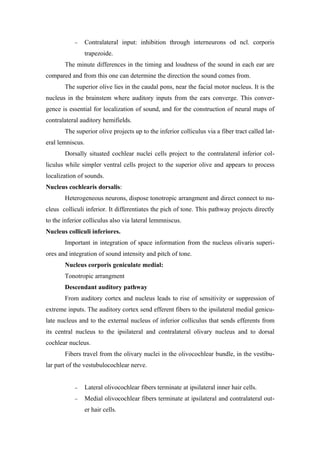 −      Contralateral input: inhibition through interneurons od ncl. corporis
                  trapezoide.
       The minute differences in the timing and loudness of the sound in each ear are
compared and from this one can determine the direction the sound comes from.
       The superior olive lies in the caudal pons, near the facial motor nucleus. It is the
nucleus in the brainstem where auditory inputs from the ears converge. This conver-
gence is essential for localization of sound, and for the construction of neural maps of
contralateral auditory hemifields.
       The superior olive projects up to the inferior colliculus via a fiber tract called lat-
eral lemniscus.
       Dorsally situated cochlear nuclei cells project to the contralateral inferior col-
liculus while simpler ventral cells project to the superior olive and appears to process
localization of sounds.
Nucleus cochlearis dorsalis:
       Heterogeneous neurons, dispose tonotropic arrangment and direct connect to nu-
cleus colliculi inferior. It differentiates the pich of tone. This pathway projects directly
to the inferior colliculus also via lateral lemmniscus.
Nucleus colliculi inferiores.
       Important in integration of space information from the nucleus olivaris superi-
ores and integration of sound intensity and pitch of tone.
       Nucleus corporis geniculate medial:
       Tonotropic arrangment
       Descendant auditory pathway
       From auditory cortex and nucleus leads to rise of sensitivity or suppression of
extreme inputs. The auditory cortex send efferent fibers to the ipsilateral medial genicu-
late nucleus and to the external nucleus of inferior colliculus that sends efferents from
its central nucleus to the ipsilateral and contralateral olivary nucleus and to dorsal
cochlear nucleus.
       Fibers travel from the olivary nuclei in the olivocochlear bundle, in the vestibu-
lar part of the vestubulocochlear nerve.


           −      Lateral olivocochlear fibers terminate at ipsilateral inner hair cells.
           −      Medial olivocochlear fibers terminate at ipsilateral and contralateral out-
                  er hair cells.
 