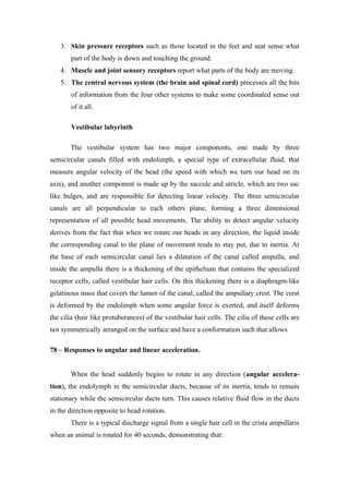 3. Skin pressure receptors such as those located in the feet and seat sense what
       part of the body is down and touching the ground.
   4. Muscle and joint sensory receptors report what parts of the body are moving.
   5. The central nervous system (the brain and spinal cord) processes all the bits
       of information from the four other systems to make some coordinated sense out
       of it all.

       Vestibular labyrinth

       The vestibular system has two major components, one made by three
semicircular canals filled with endolimph, a special type of extracellular fluid, that
measure angular velocity of the head (the speed with which we turn our head on its
axis), and another component is made up by the saccule and utricle, which are two sac
like bulges, and are responsible for detecting linear velocity. The three semicircular
canals are all perpendicular to each others plane, forming a three dimensional
representation of all possible head movements. The ability to detect angular velocity
derives from the fact that when we rotate our heads in any direction, the liquid inside
the corresponding canal to the plane of movement tends to stay put, due to inertia. At
the base of each semicircular canal lies a dilatation of the canal called ampulla, and
inside the ampulla there is a thickening of the epithelium that contains the specialized
receptor cells, called vestibular hair cells. On this thickening there is a diaphragm-like
gelatinous mass that covers the lumen of the canal, called the ampullary crest. The crest
is deformed by the endolimph when some angular force is exerted, and itself deforms
the cilia (hair like protuberances) of the vestibular hair cells. The cilia of these cells are
not symmetrically arranged on the surface and have a conformation such that allows

78 – Responses to angular and linear acceleration.


       When the head suddenly begins to rotate in any direction (angular accelera-
tion), the endolymph in the semicircular ducts, because of its inertia, tends to remain
stationary while the semicircular ducts turn. This causes relative fluid flow in the ducts
in the direction opposite to head rotation.
       There is a typical discharge signal from a single hair cell in the crista ampullaris
when an animal is rotated for 40 seconds, demonstrating that:
 