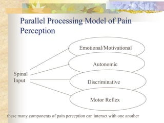 Parallel Processing Model of Pain
Perception
Emotional/Motivational
Autonomic
Discriminative
Motor Reflex
Spinal
Input
these many components of pain perception can interact with one another
 
