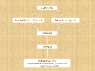 EVOLUÇÃO



Fluido Cósmico Universal                   Princípio Inteligente



                            ESPÍRITO




                            HOMEM




                       REENCARNAÇÃO
          (Oportunidade de enriquecimento , de prova ou de
                         reparação de conduta)
 
