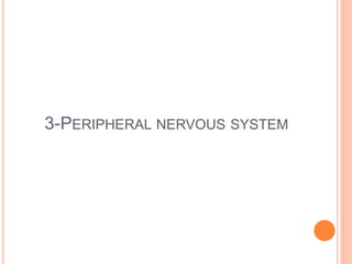 3-PERIPHERAL NERVOUS SYSTEM
 