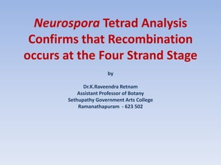 Neurospora Tetrad Analysis
Confirms that Recombination
occurs at the Four Strand Stage
by
Dr.K.Raveendra Retnam
Assistant Professor of Botany
Sethupathy Government Arts College
Ramanathapuram - 623 502
 