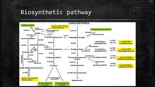 Biosynthetic pathway
 