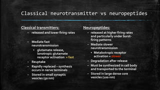 Classical neurotransmitter vs neuropeptides
Classical transmitters:
– released and lower firing rates
– Mediate fast
neurotransmission
▪ glutamate release,
ionotropic glutamate
receptor activation = fast
– Reuptake
– Rapidly replaced – synthesis
occurs in nerve terminals
– Stored in small synaptic
vesicles (50 nm)
Neuropeptides:
– released at higher firing rates
and particularly under burst-
firing patterns
– Mediate slower
neurotransmission
▪ Metabotropic receptor
activation = slower
– Degradation after release
– Must be synthesized in cell body
and transported to the terminal
– Stored in large dense core
vesicles (100 nm)
 