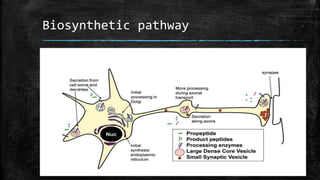 Biosynthetic pathway
 