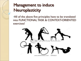 Management to induce Neuroplasticity All of the above five principles have to be translated into FUNCTIONAL TASK & CONTEXT-ORIENTED exercises! 