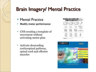 Brain Imagery/ Mental Practice Mental Practice Modify motor performance CNS creating a template of movement without activating motor plan Activate descending corticospinal pathway, spinal cord and effector muscles 